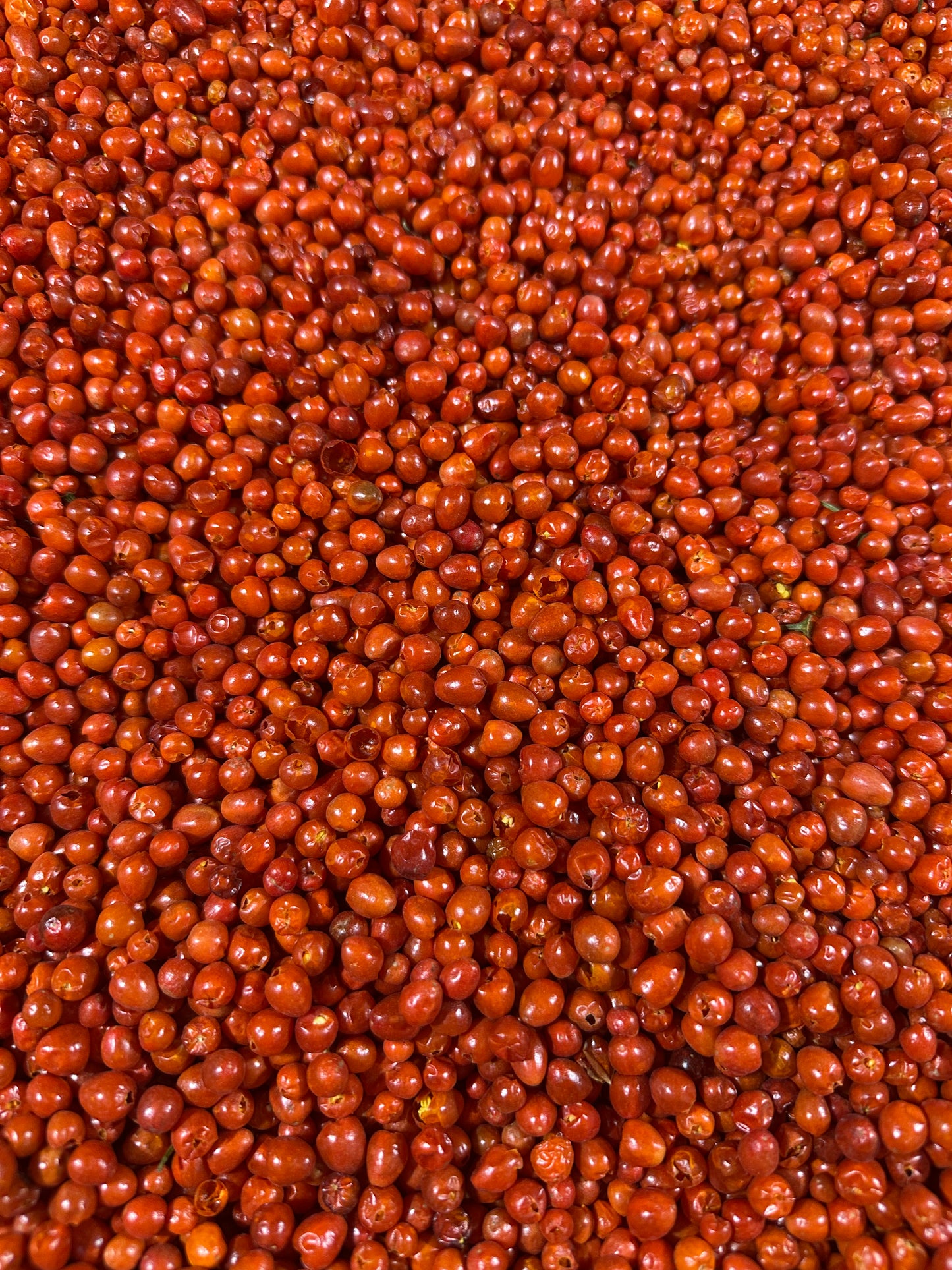 Chiltepin por/by Kilogram